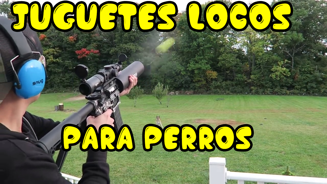Los Mejores Juguetes Para Perros