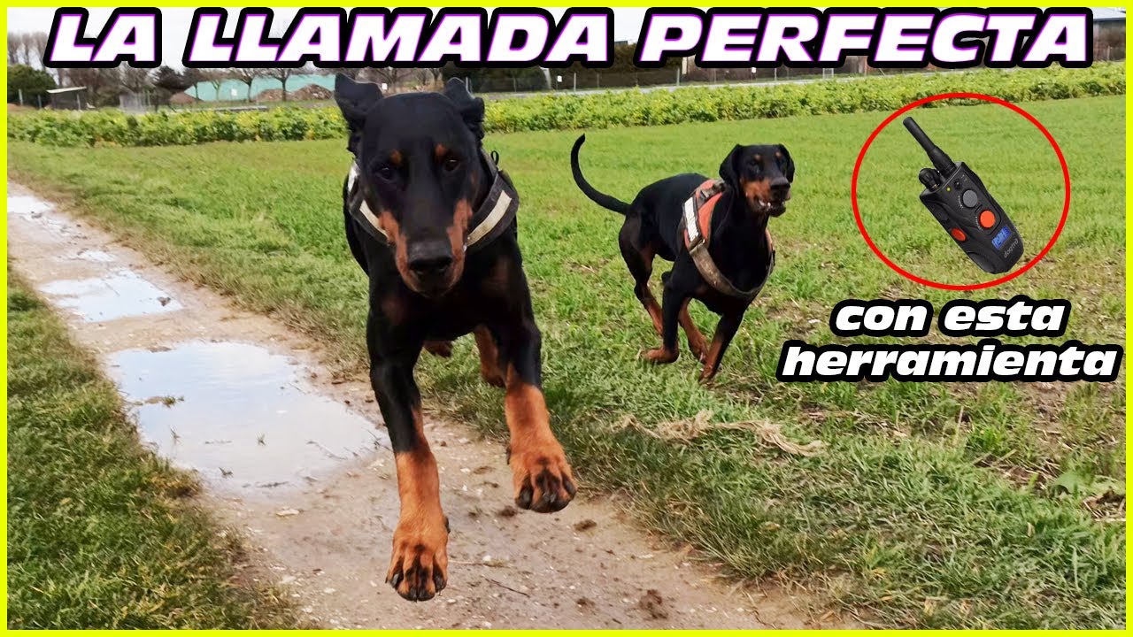 Consigue Una Llamada Perfecta Con Esta Herramienta