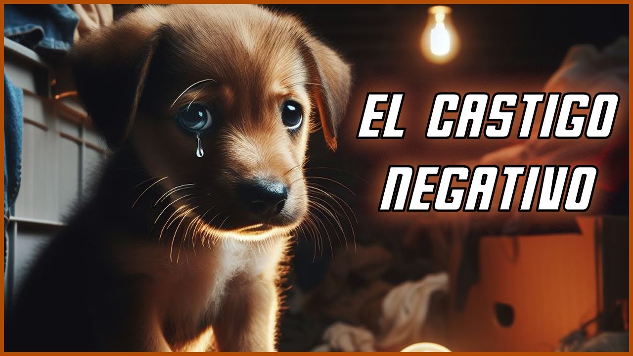 Castigo Negativo Perros