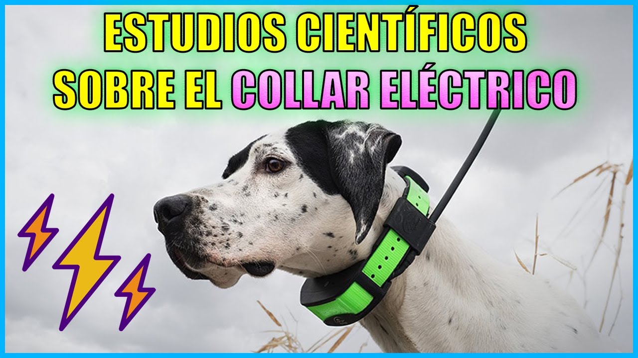 Collar Electrico Para Perros