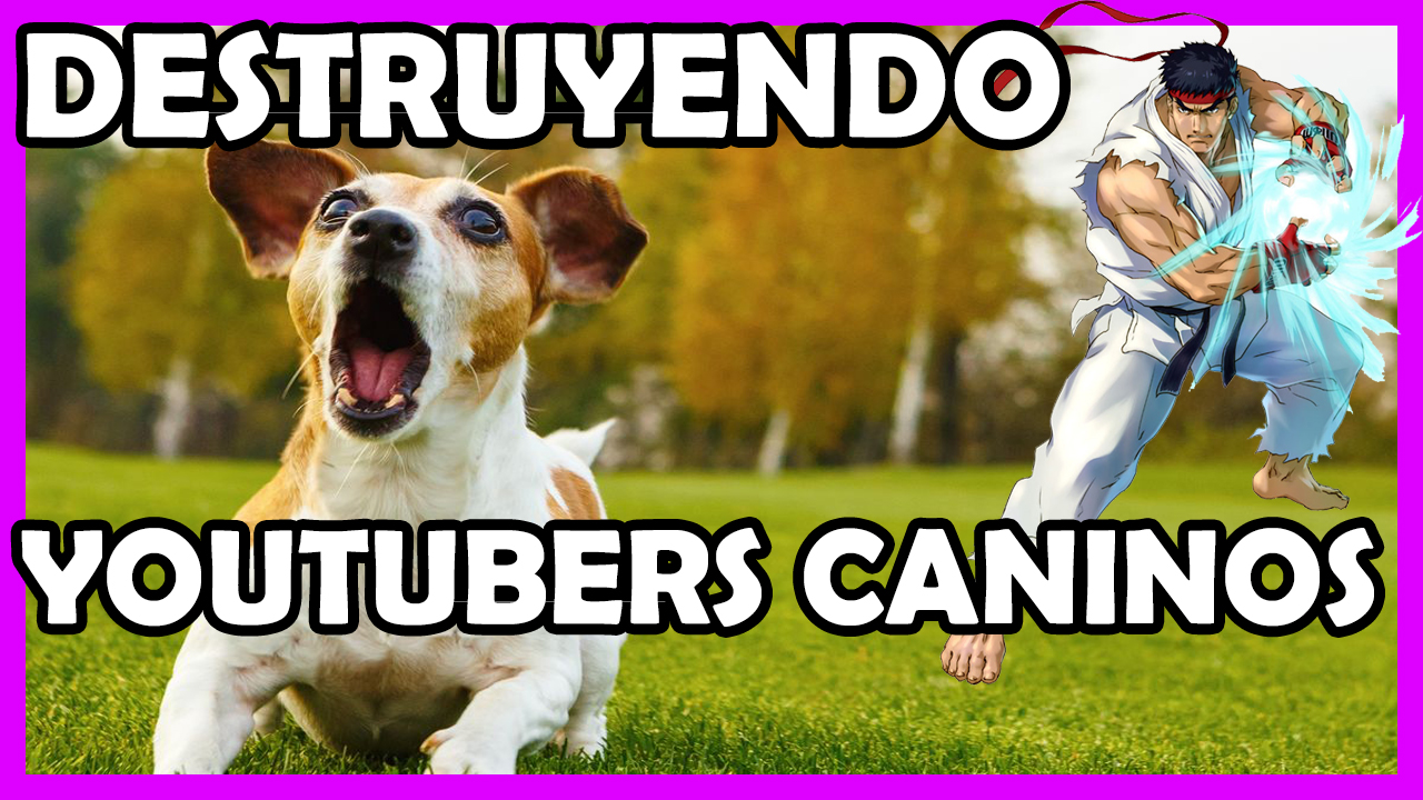 Adiestradores Caninos Youtube