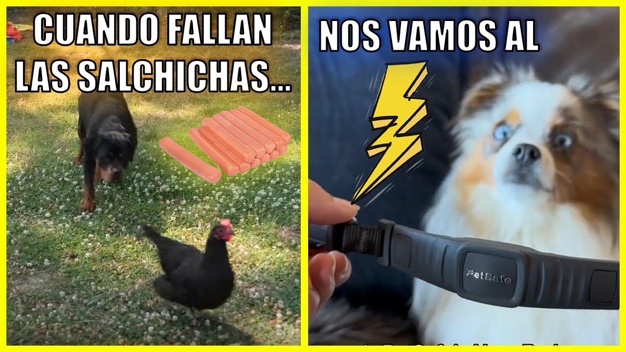 Educacion Amable