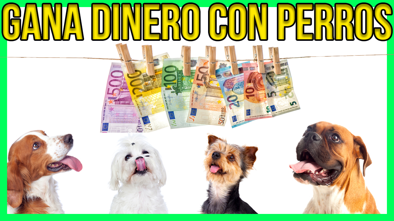 Gana Dinero Ok