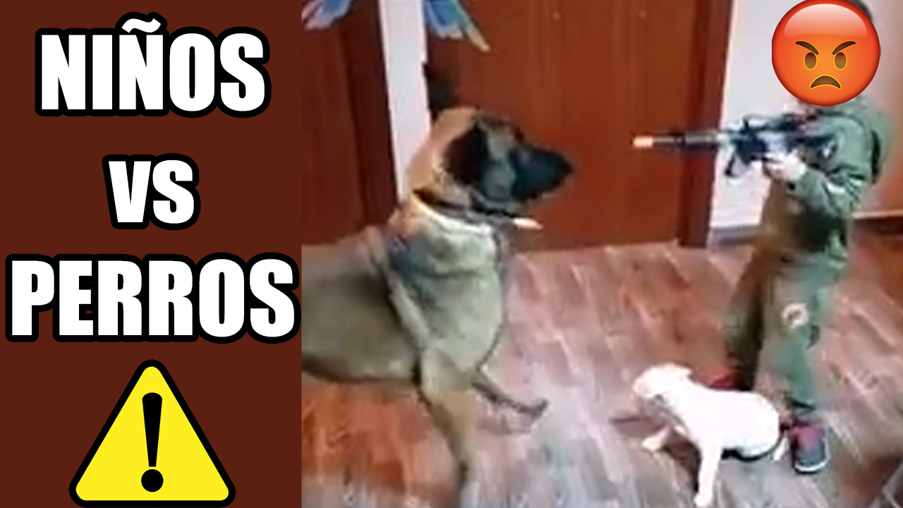 ataques de perros a niños