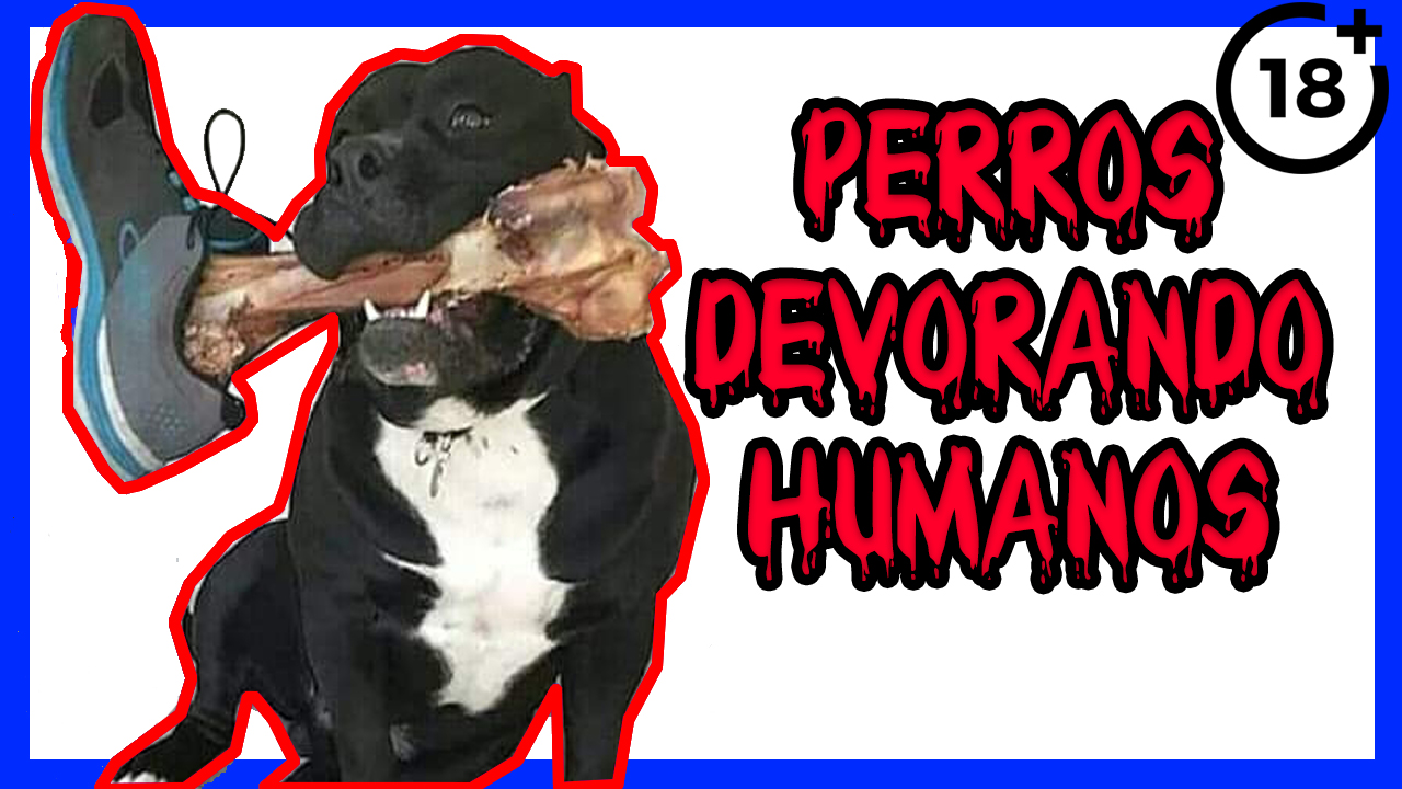 Perros Que Devoran Humanos Ok