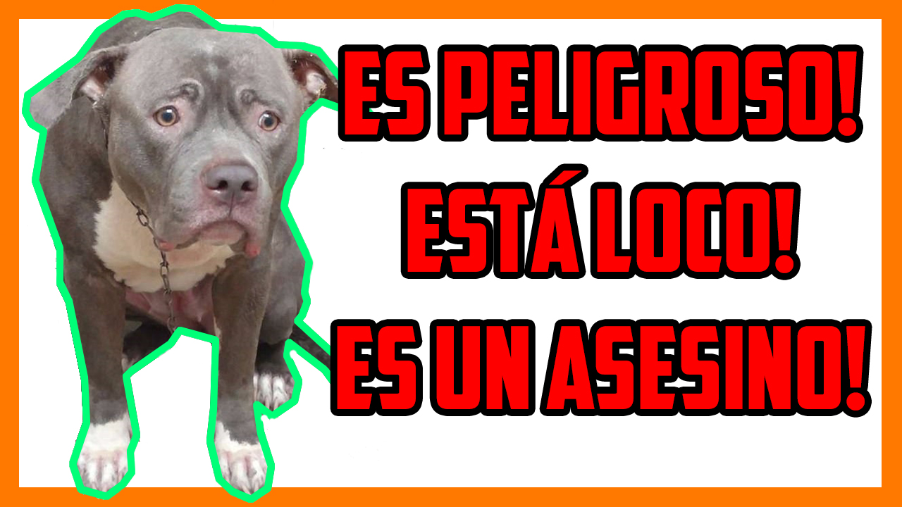 Razas Ppp